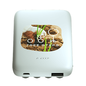 Zeta Induction Priority